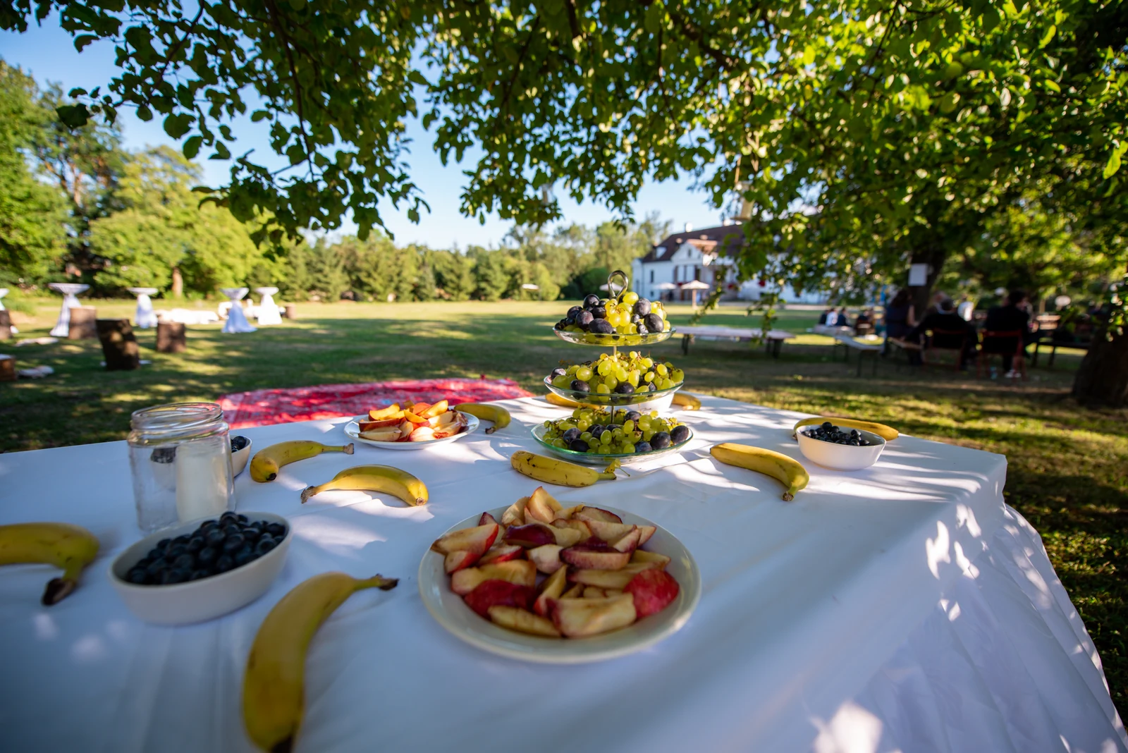 Fresh fruit laid out on a table in the castle garden