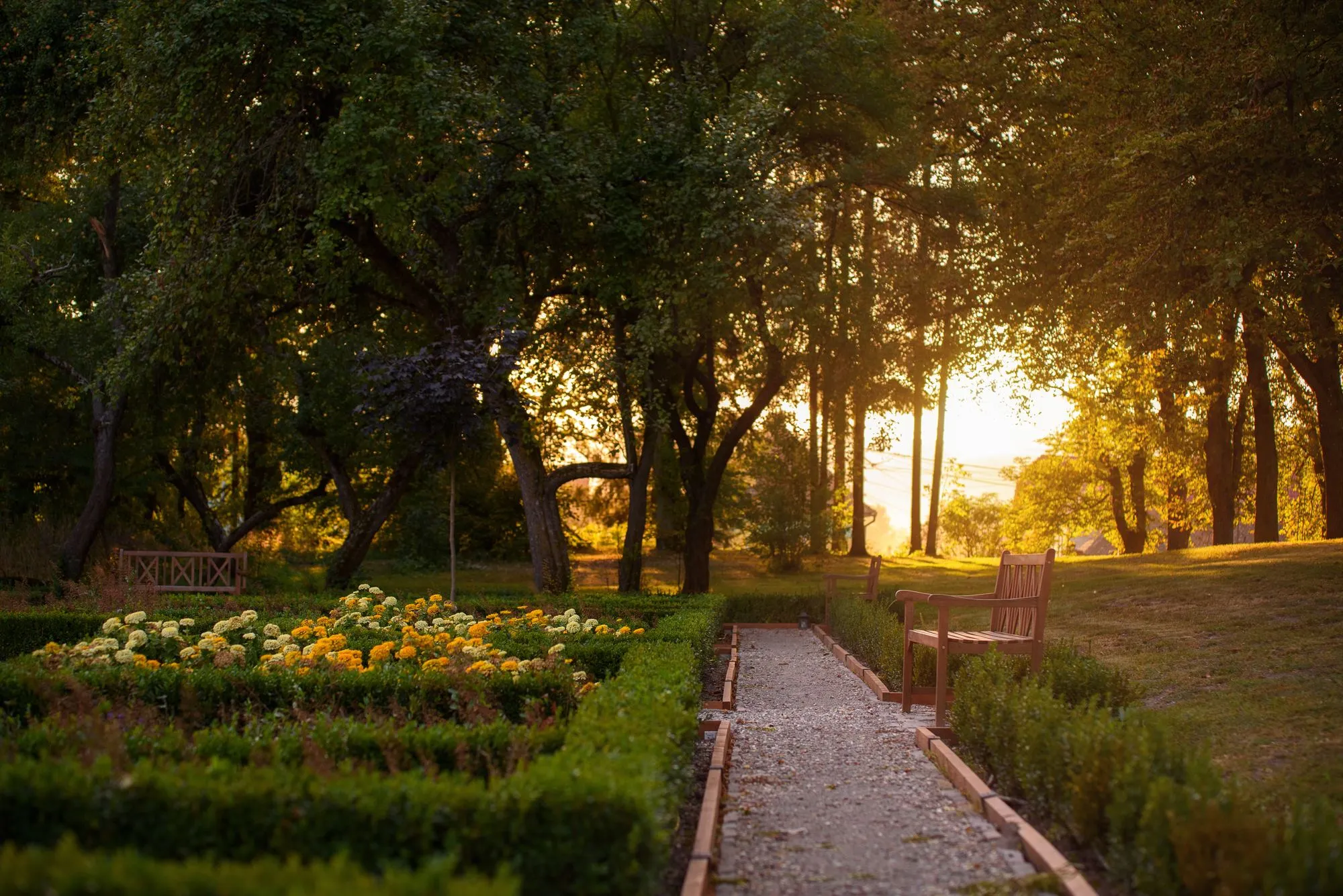 Path through the castle garden at Miklósvár