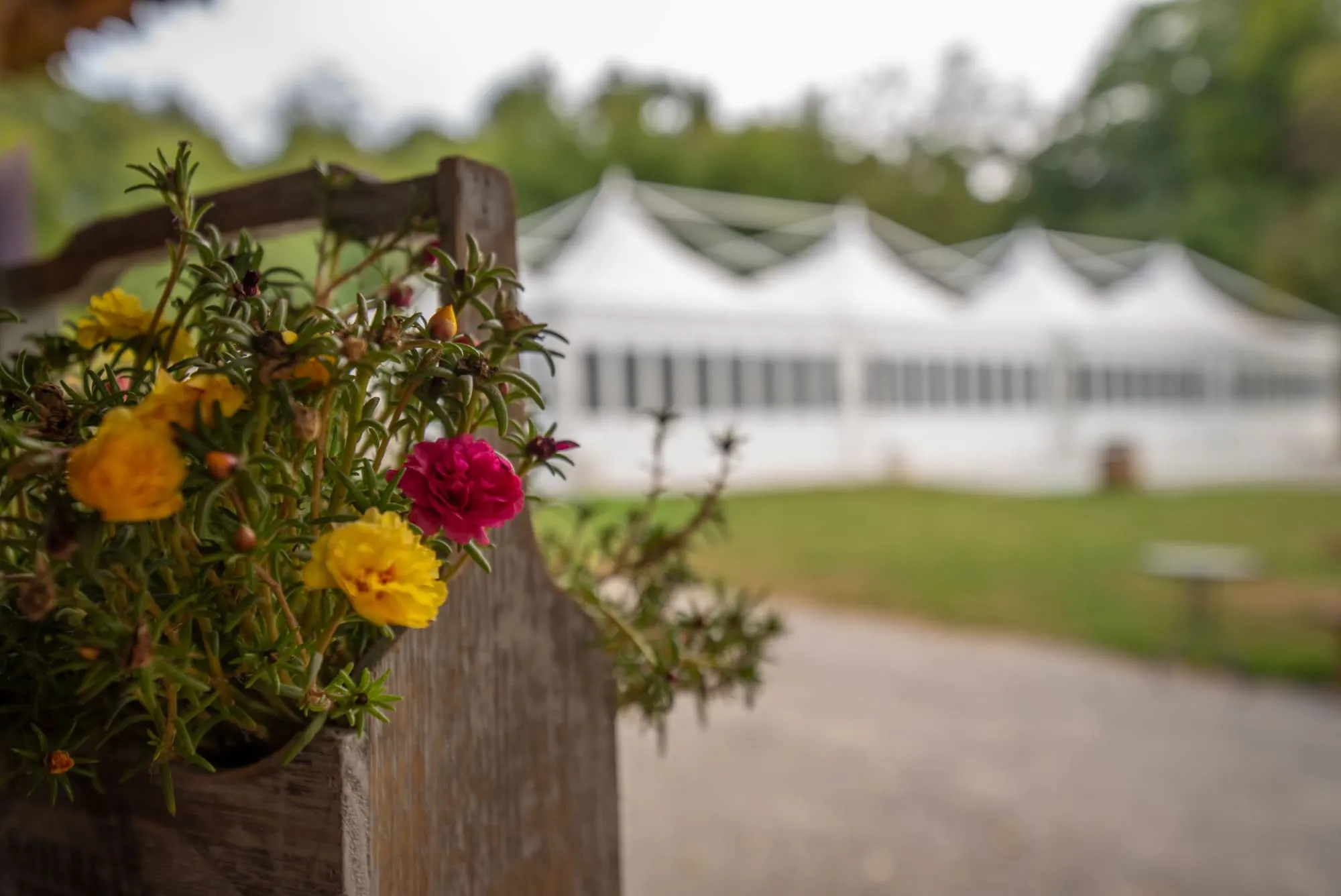 Wedding reception tent in the castle courtyard